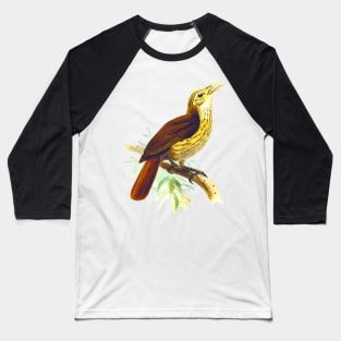 Cute birds #4 Baseball T-Shirt